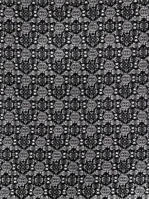 CK-1943W WARRIOR TRIBAL PRINT COTTON KNIT. FRANCE